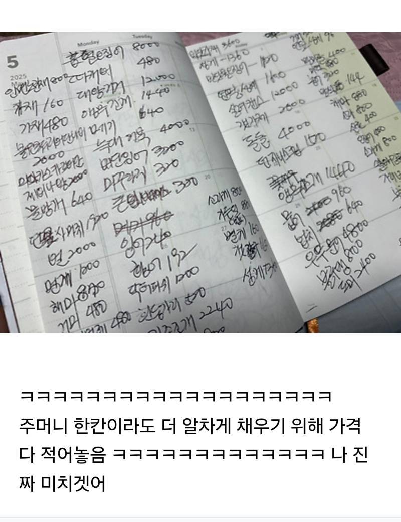 울엄마만큼 모동숲 열심히 하는 아줌마 있을까 ㅋㅋ의 내용을 보여주는 이미지