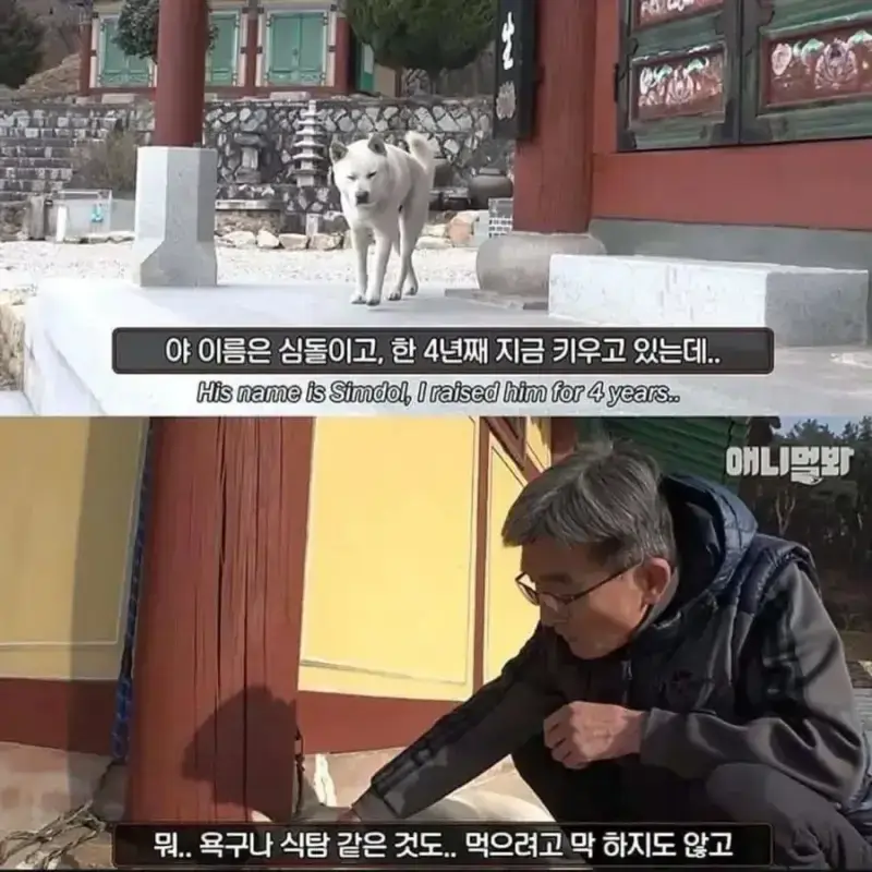 1000114471.webp 절에사는 개가 식탐이없는이유 .jpg