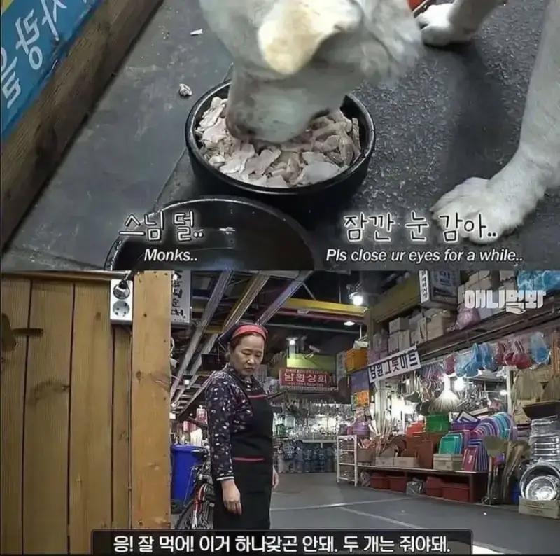1000114475.webp 절에사는 개가 식탐이없는이유 .jpg