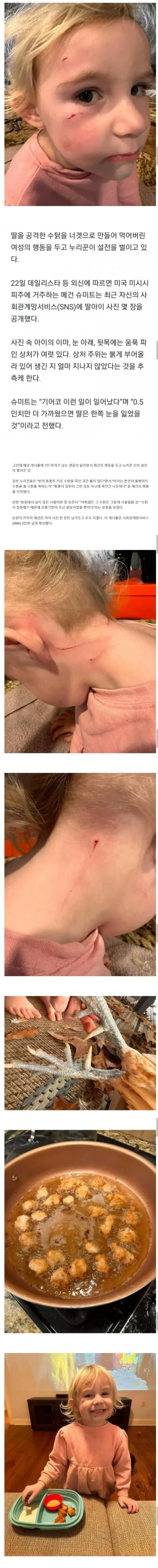 키우던 닭을 아이에게 먹여 논란이 된 엄마의 내용을 보여주는 이미지 관련 이미지 2