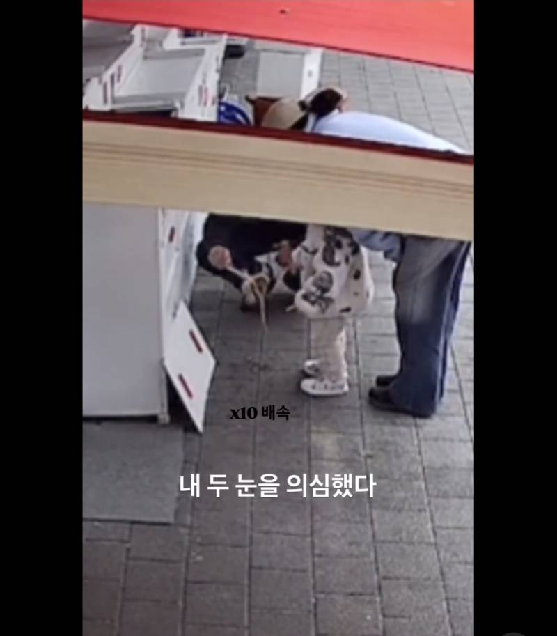 남의 가게 수조함 열고 애한테 낙지 촉감놀이 시키는 기혼의 내용을 보여주는 이미지