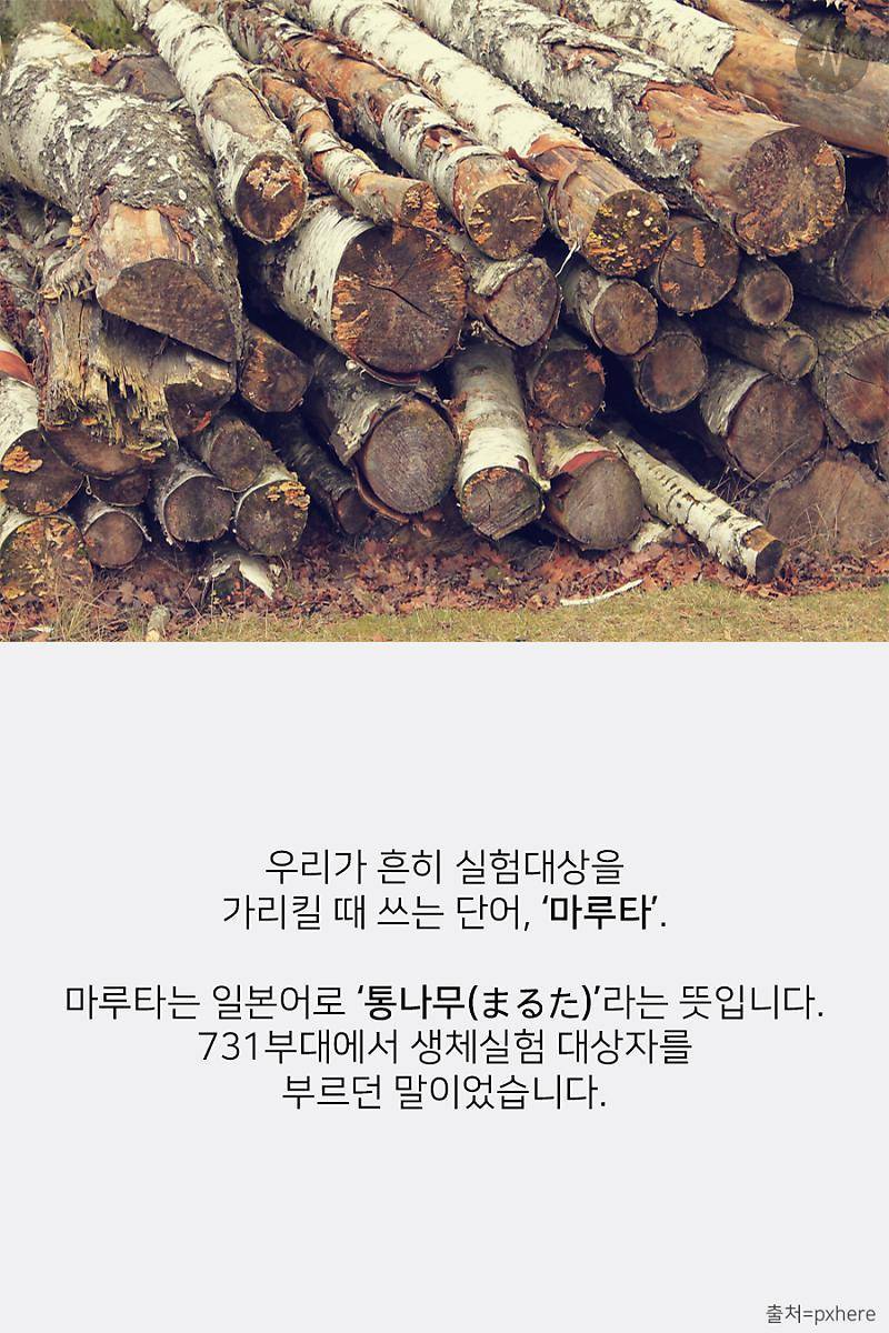 대한민국 사람이라면 절대 쓰지 말아야 할 단어 2가지의 내용을 보여주는 이미지