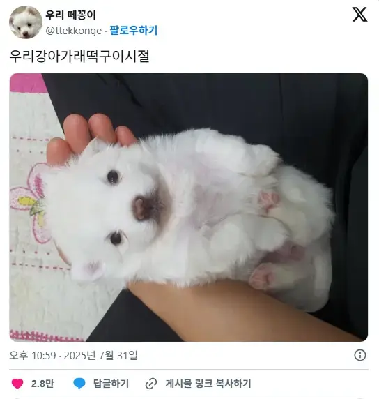 어느 강아지의 가래떡시절의 내용을 보여주는 이미지 관련 이미지 6