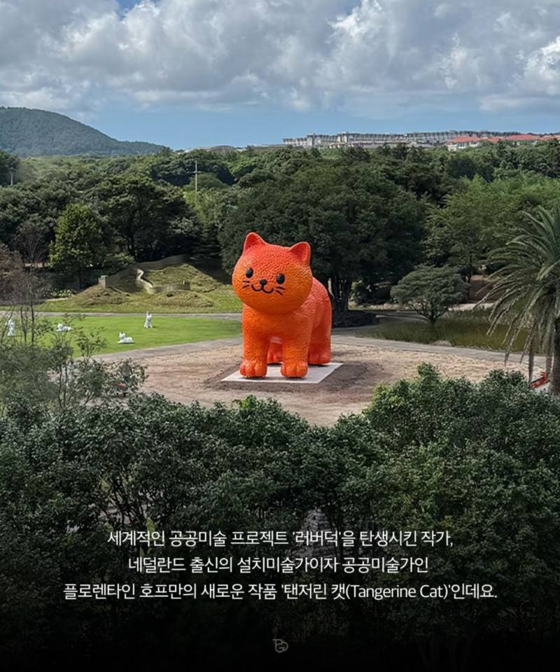 제주도에 나타난 거대 고냉이의 내용을 보여주는 이미지