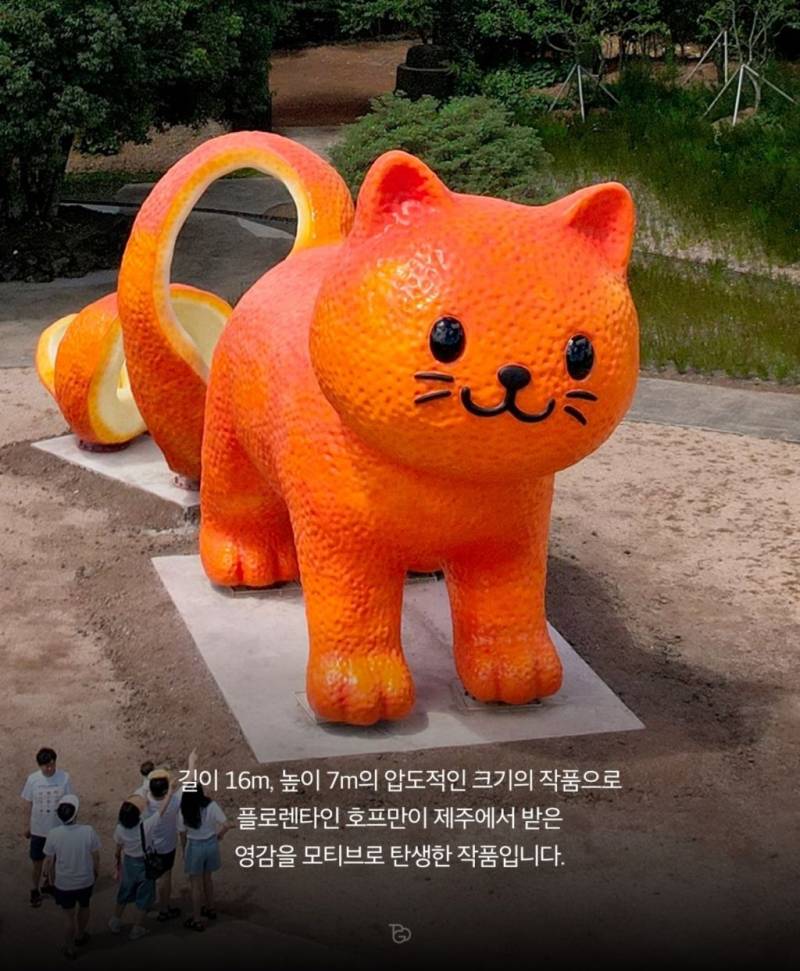 제주도에 나타난 거대 고냉이의 내용을 보여주는 이미지 관련 이미지 2