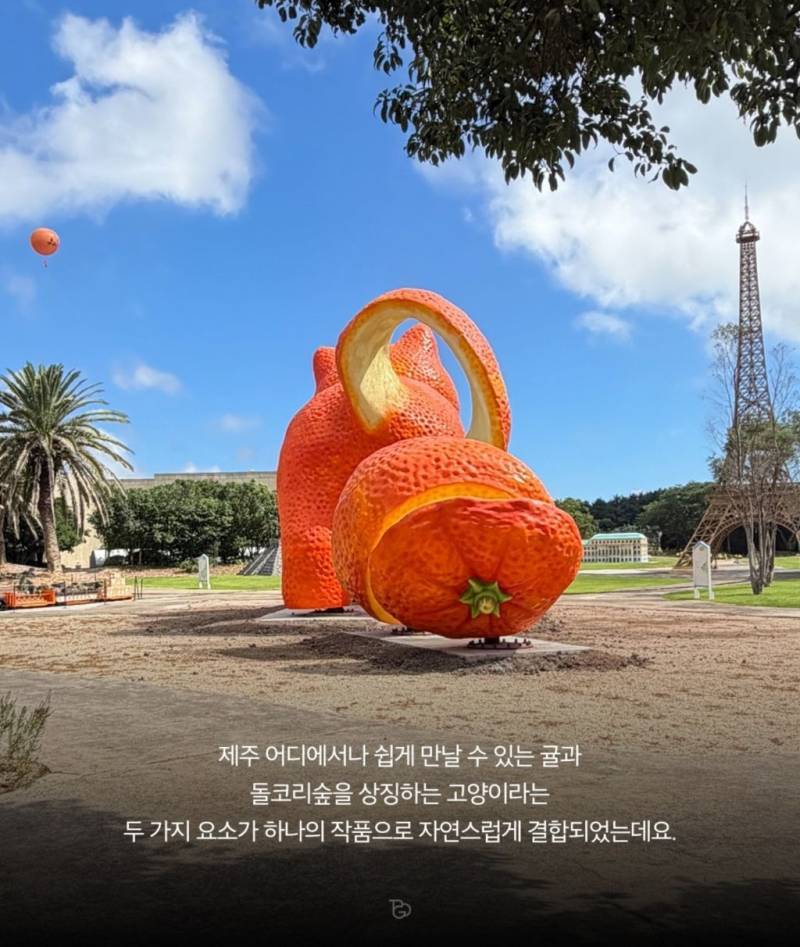 제주도에 나타난 거대 고냉이의 내용을 보여주는 이미지 관련 이미지 3
