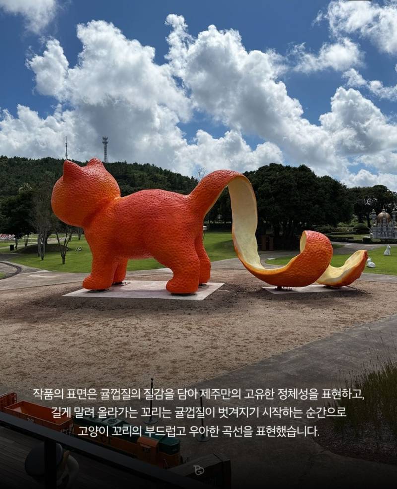 제주도에 나타난 거대 고냉이의 내용을 보여주는 이미지 관련 이미지 4