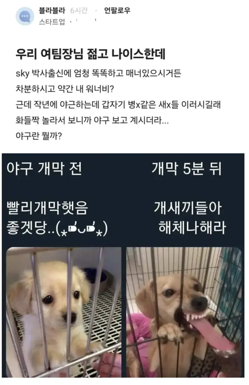 9986596051_486616_d16e62d9500edc616c780c2ddc0c718c.jpg.webp 우리 여팀장님 젊고 나이스한데