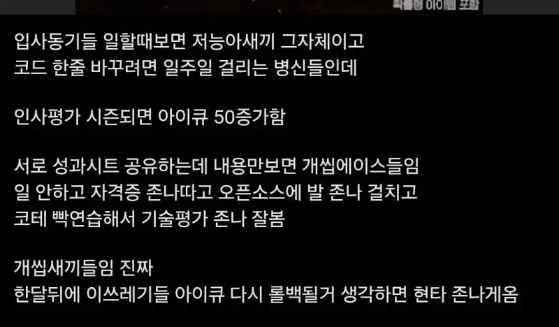 인사 평가 시즌되면 현타 온다는 대기업 현직자의 내용을 보여주는 이미지