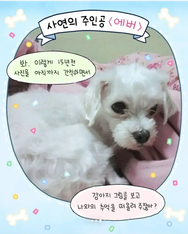 인스타툰) 에버 이야기 - 순애 채널