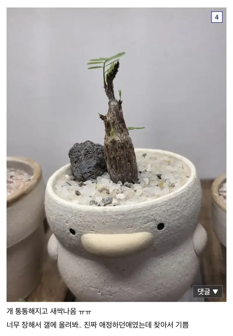 UqYVcOLCMumKaiA2mu6Co.png