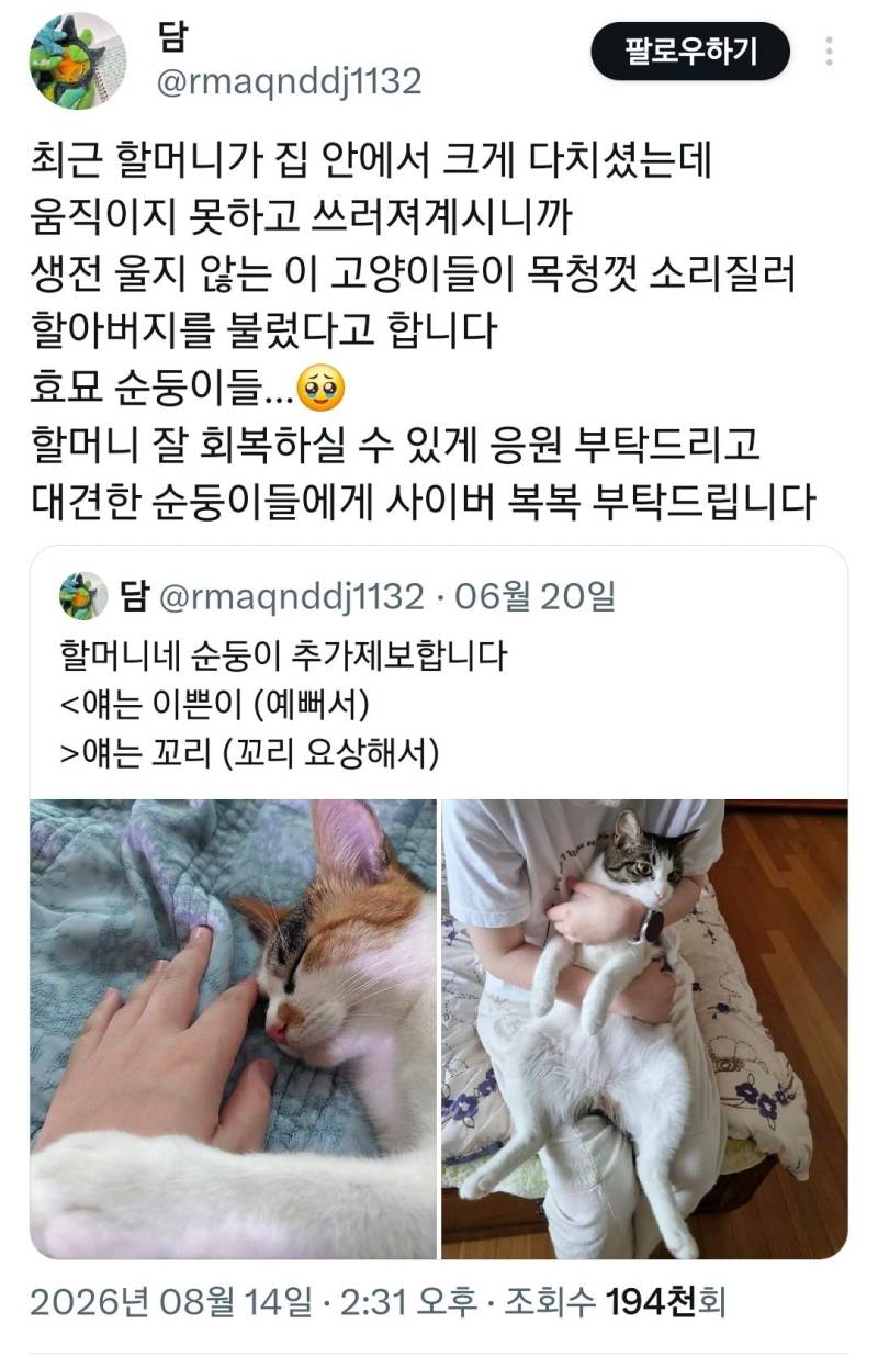 효묘들 사이버 복복해주시오의 내용을 보여주는 이미지