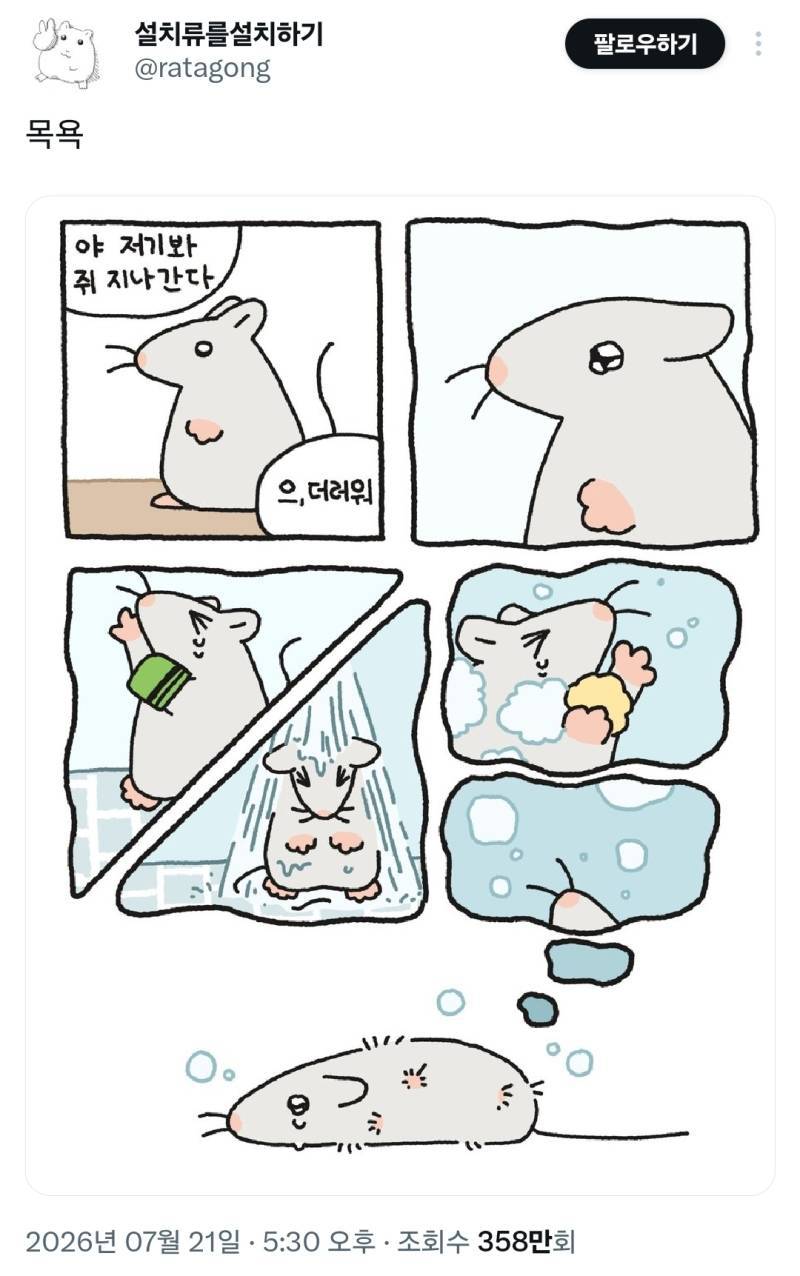 저기 쥐 지나간다 더러워의 내용을 보여주는 이미지