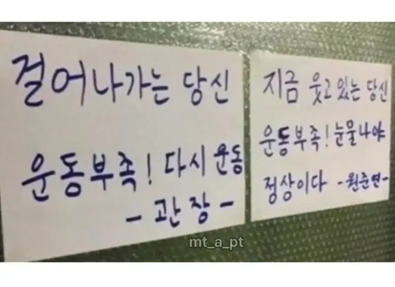 어느 헬스장의 명언의 내용을 보여주는 이미지 관련 이미지 3
