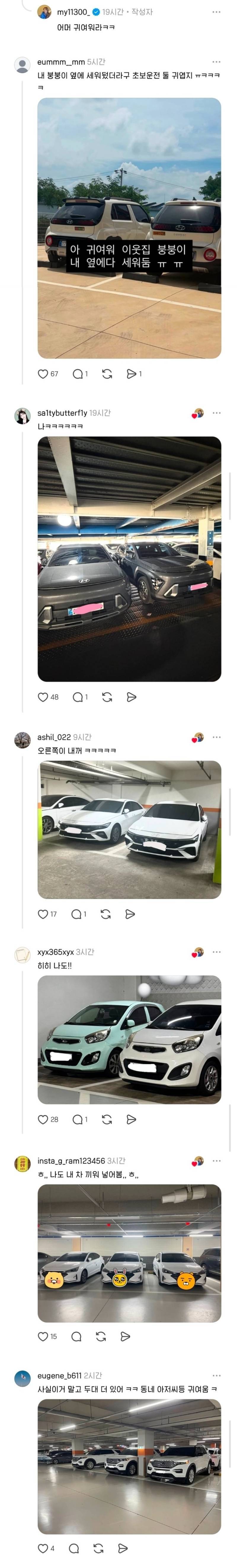 운전자들 은근 귀여운 점의 내용을 보여주는 이미지 관련 이미지 2