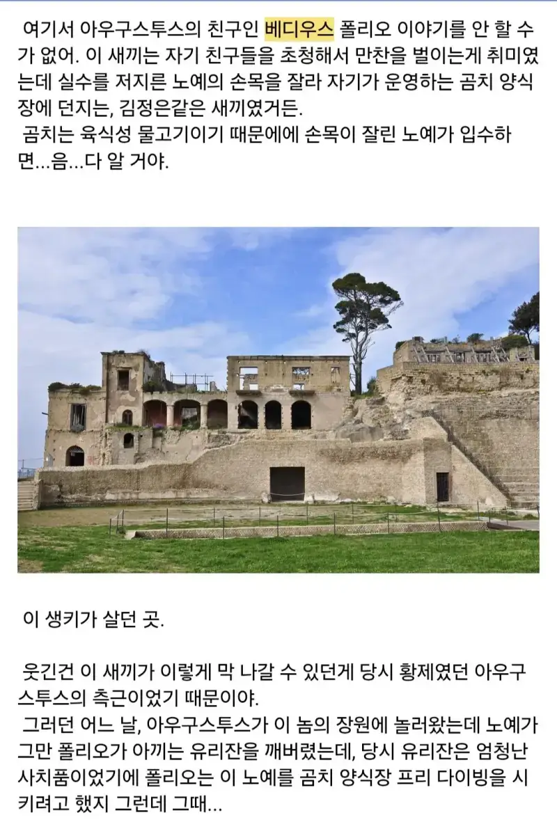 "로마 특색 부관참시"의 내용을 보여주는 이미지 관련 이미지 2