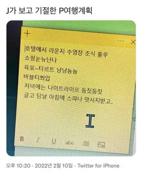 J가 보고 혼절해버린 P의 여행계획의 내용을 보여주는 이미지
