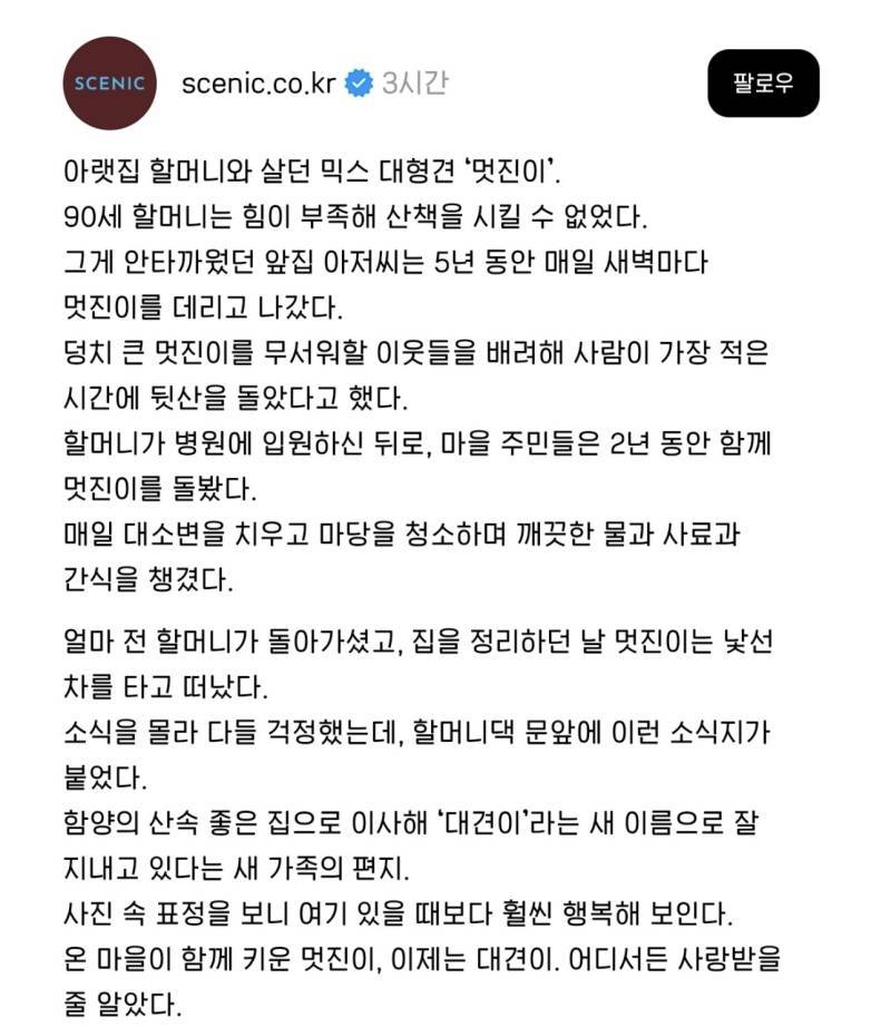 앞집 아저씨는 5년동안 매일 새벽마다 아랫집 할머니네 개 '멋진이'를 데리고 나갔다의 내용을 보여주는 이미지