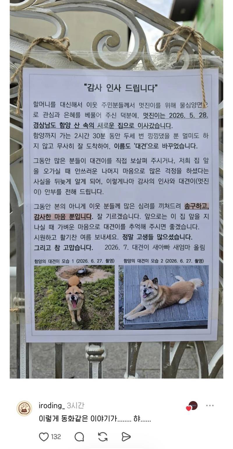 앞집 아저씨는 5년동안 매일 새벽마다 아랫집 할머니네 개 '멋진이'를 데리고 나갔다의 내용을 보여주는 이미지 관련 이미지 2