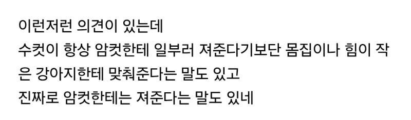 수컷 강아지, 암컷 강아지와 놀때 일부러 '져준다'의 내용을 보여주는 이미지 관련 이미지 4
