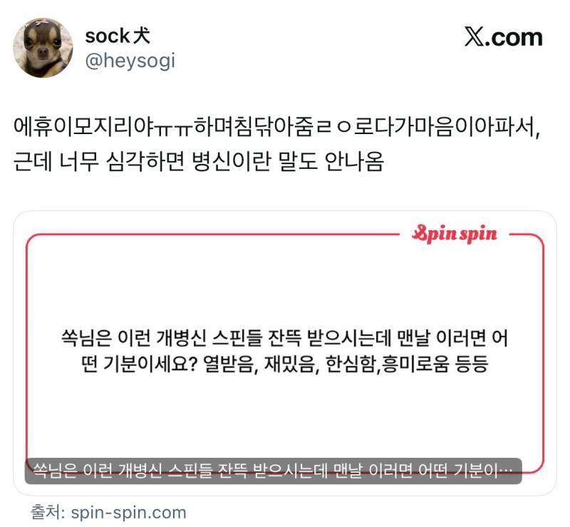 극한 트위터리안의 스핀(익명 질문답변)상태의 내용을 보여주는 이미지 관련 이미지 12