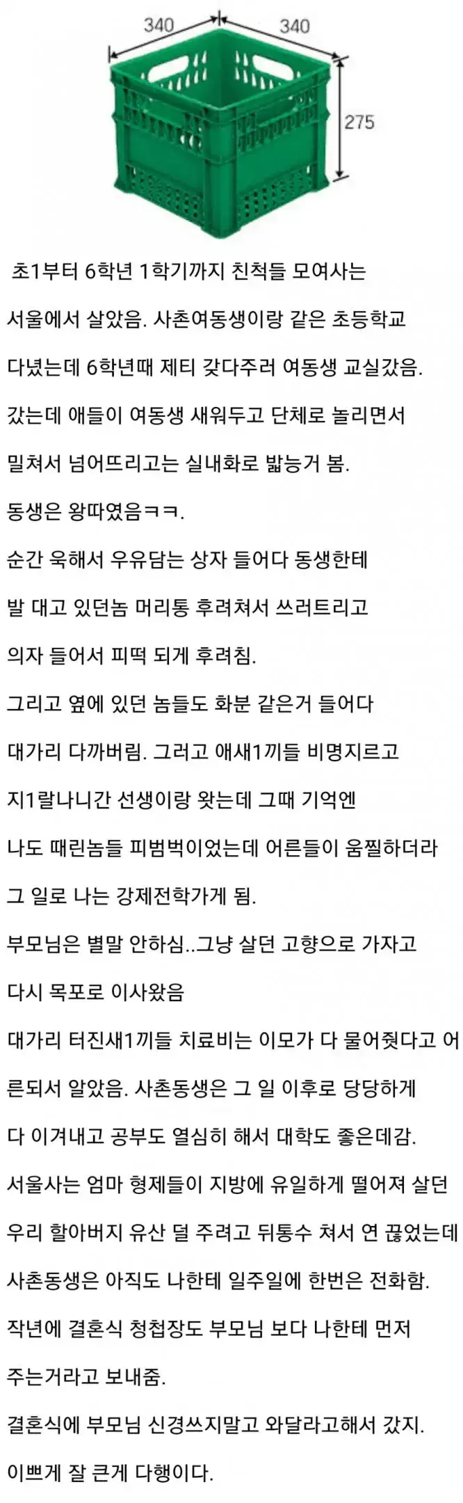 왕따당하는 사촌 여동생을 보고 이성의 끊을 놔버린 사람의 내용을 보여주는 이미지