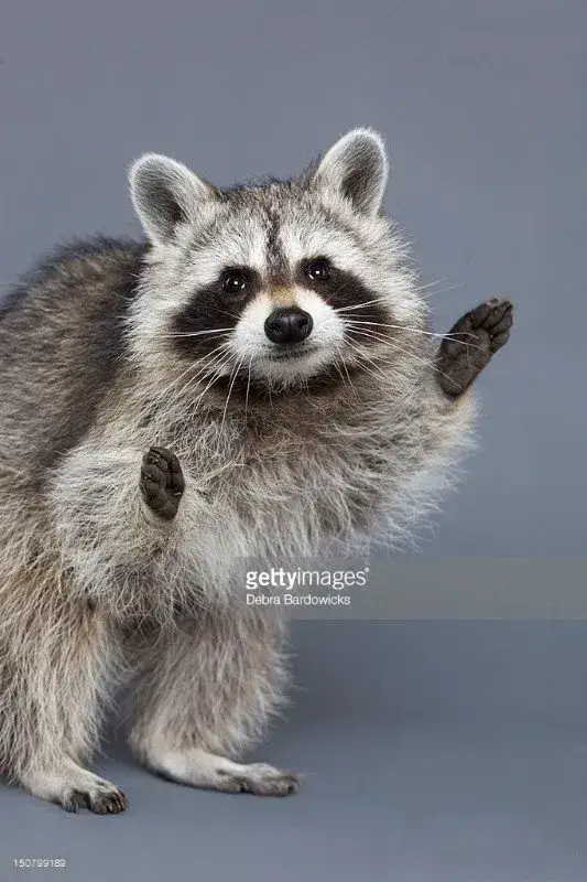 iHhkZU3IxdbpjnbaQs3I95XipMBmc_WuldDxcaLZ6zh8rDKA2Lhw6nkC8f6J2R6MnIIBVLD5J36jyR1JyHCoA.webp