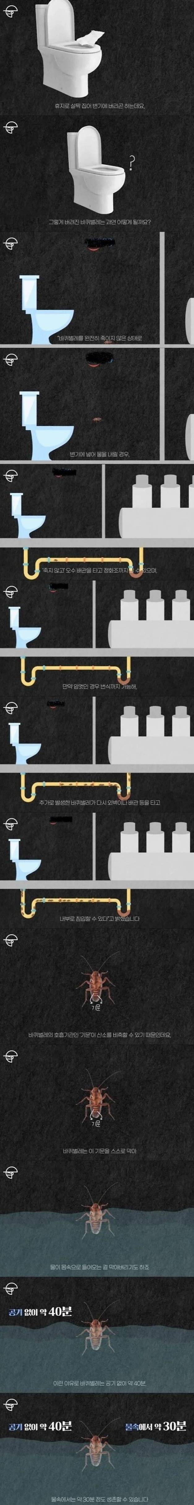 3sI9hXHNDWe4KiqOCk0Ie0.jpg