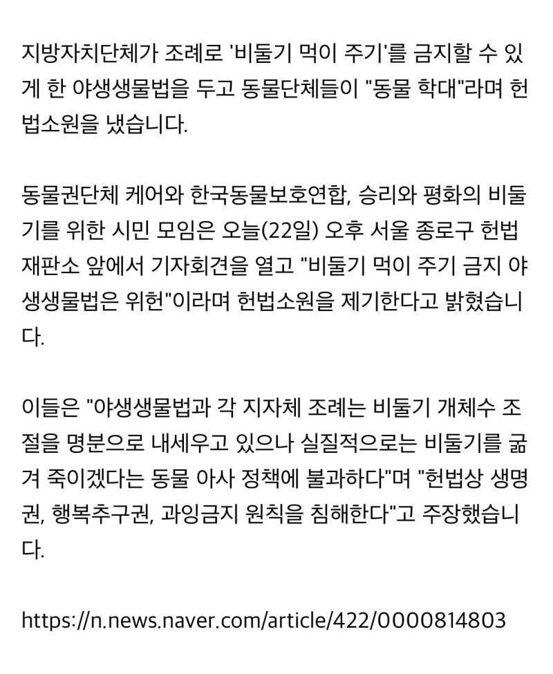 "비둘기 먹이 금지는 동물학대"…동물단체, 헌법소원의 내용을 보여주는 이미지