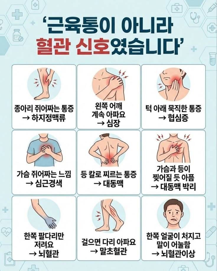 근육통이 아니고 혈관질환 가능성이 있는 증상의 내용을 보여주는 이미지