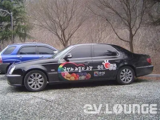 3.jpg 법인차는 회사 로고나 회사명을 차에 붙히도록 강제해야 함