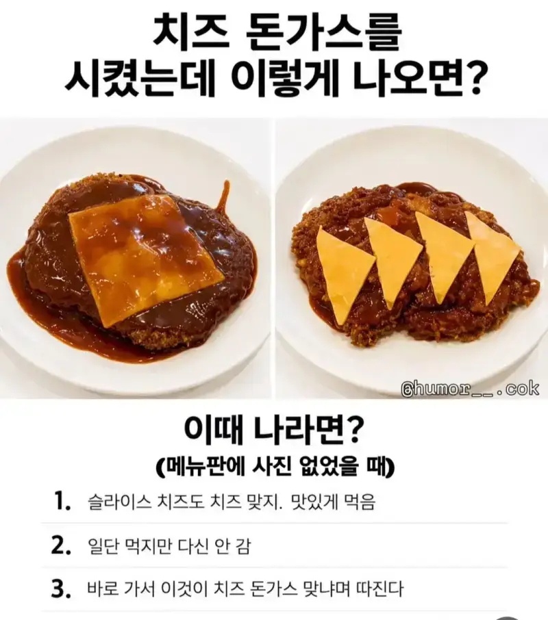 치즈 돈가스를 시켰는데 이렇게 나오면?의 내용을 보여주는 이미지