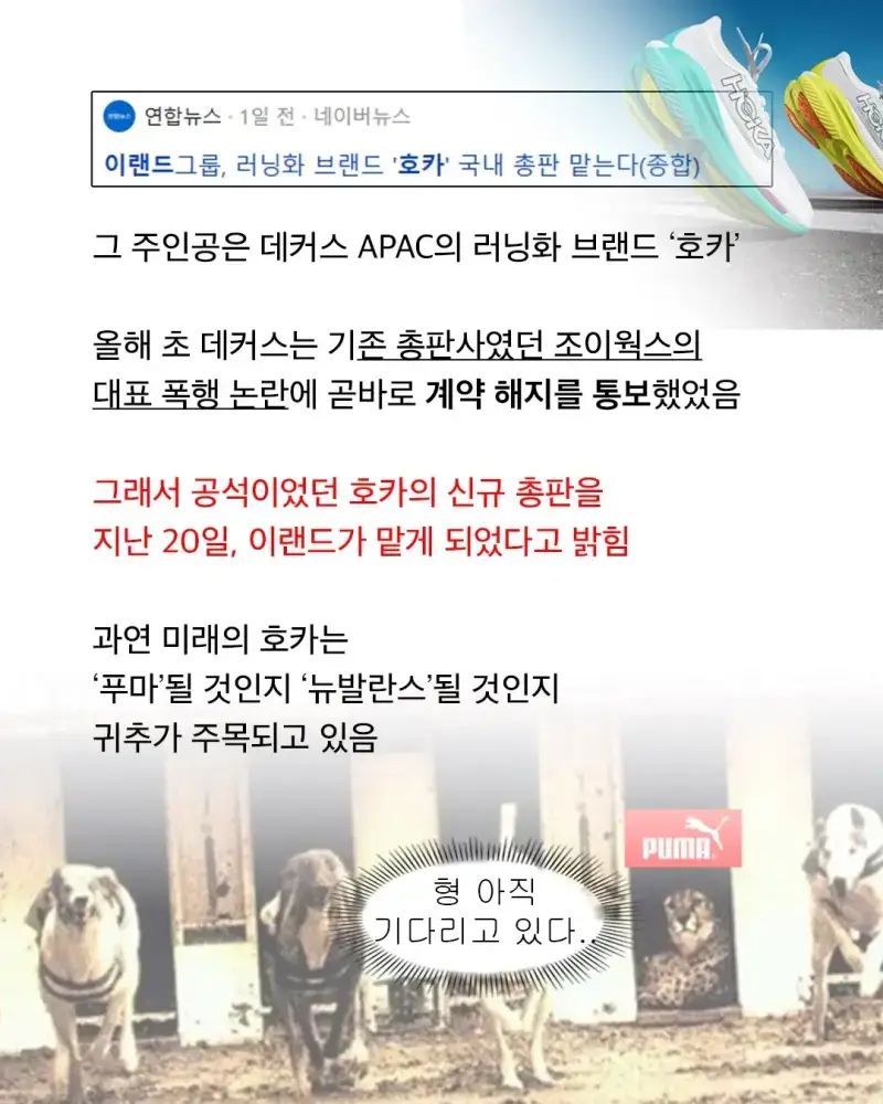 푸마가 유독 한국에서 인기 없는 이유의 내용을 보여주는 이미지 관련 이미지 8