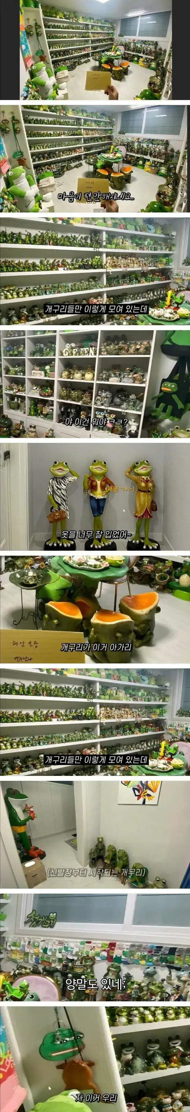 엄마가 30년동안 모은 개구리 장식품 인증�의 내용을 보여주는 이미지 관련 이미지 2