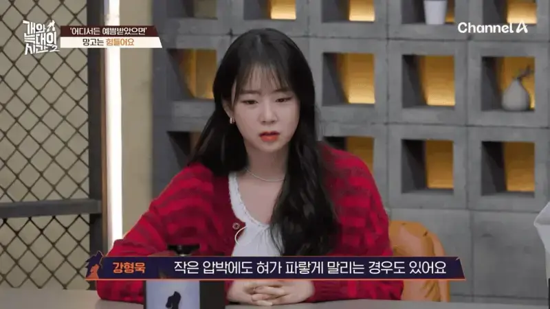 [#개와늑대의시간2] _저 같아도 물 것 같._ 하루에 개를 462번 부르는 보호자!_😨🚨 (귀에 딱지 앉을 듯.)🤕🐕 _ 개와 늑대의 시간2 17회 4-32