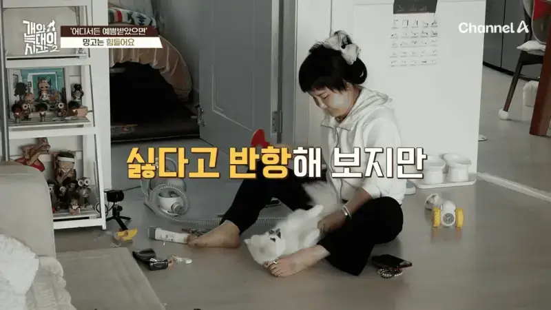 [#개와늑대의시간2] _저 같아도 물 것 같._ 하루에 개를 462번 부르는 보호자!_😨🚨 (귀에 딱지 앉을 듯.)🤕🐕 _ 개와 늑대의 시간2 17회 7-44