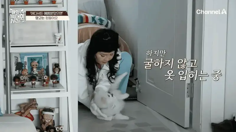 [#개와늑대의시간2] _저 같아도 물 것 같._ 하루에 개를 462번 부르는 보호자!_😨🚨 (귀에 딱지 앉을 듯.)🤕🐕 _ 개와 늑대의 시간2 17회 9-42
