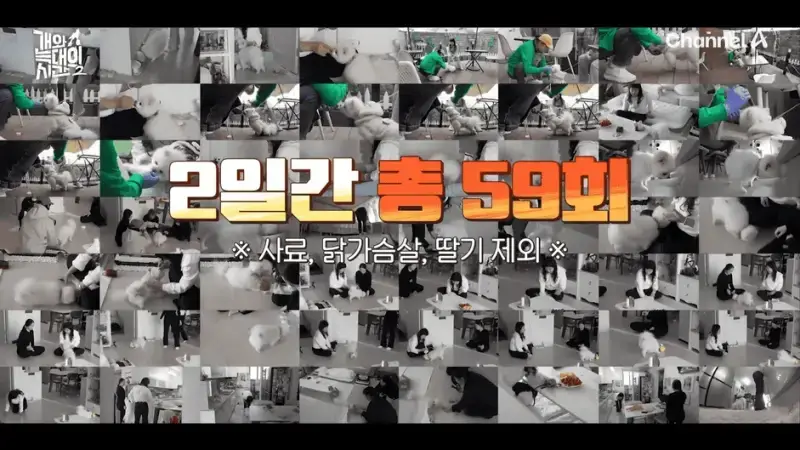 [#개와늑대의시간2] _저 같아도 물 것 같._ 하루에 개를 462번 부르는 보호자!_😨🚨 (귀에 딱지 앉을 듯.)🤕🐕 _ 개와 늑대의 시간2 17회 14-5