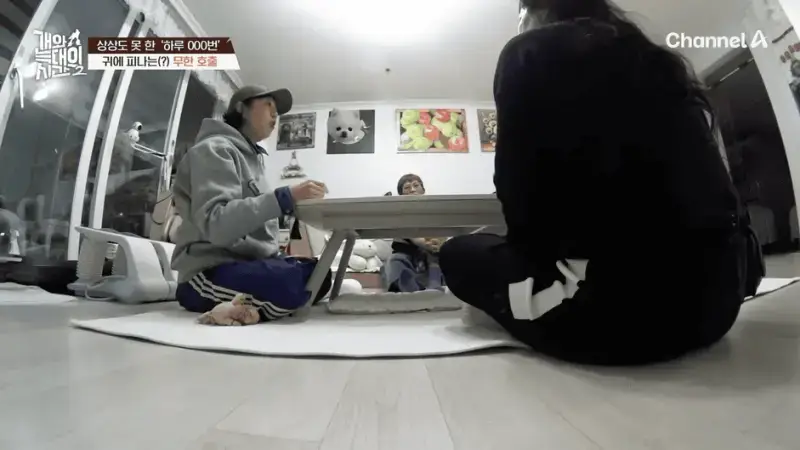 [#개와늑대의시간2] _저 같아도 물 것 같._ 하루에 개를 462번 부르는 보호자!_😨🚨 (귀에 딱지 앉을 듯.)🤕🐕 _ 개와 늑대의 시간2 17회 15-9