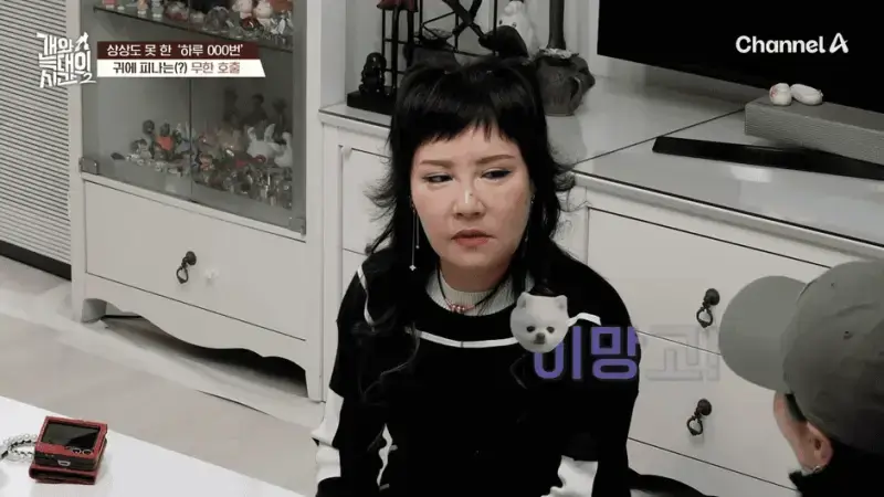 [#개와늑대의시간2] _저 같아도 물 것 같._ 하루에 개를 462번 부르는 보호자!_😨🚨 (귀에 딱지 앉을 듯.)🤕🐕 _ 개와 늑대의 시간2 17회 15-11