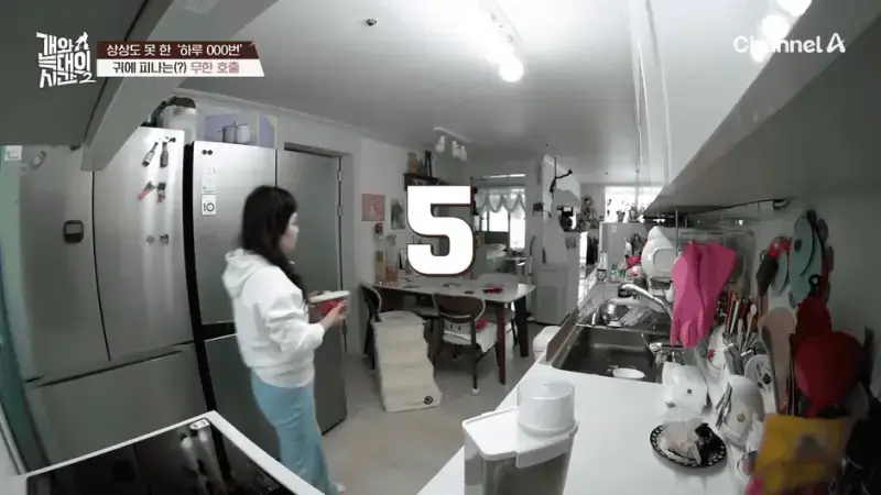 [#개와늑대의시간2] _저 같아도 물 것 같._ 하루에 개를 462번 부르는 보호자!_😨🚨 (귀에 딱지 앉을 듯.)🤕🐕 _ 개와 늑대의 시간2 17회 15-49