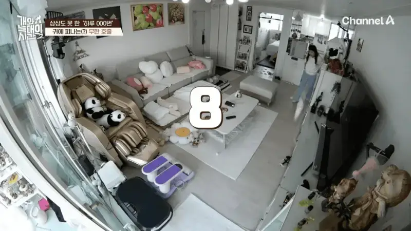 [#개와늑대의시간2] _저 같아도 물 것 같._ 하루에 개를 462번 부르는 보호자!_😨🚨 (귀에 딱지 앉을 듯.)🤕🐕 _ 개와 늑대의 시간2 17회 15-51