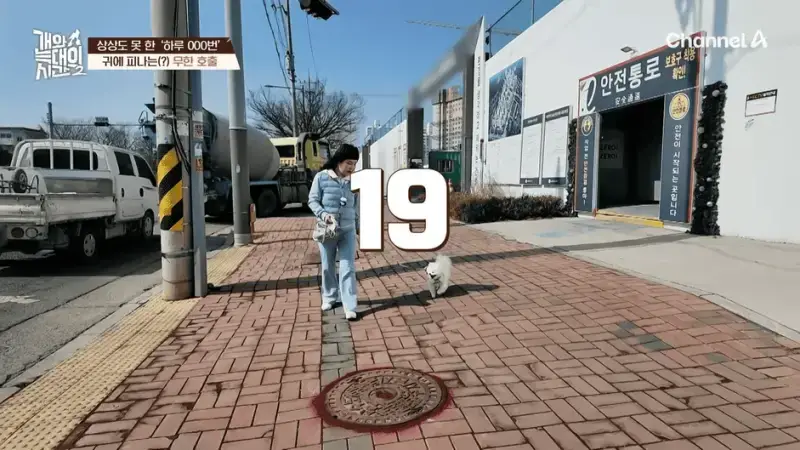 [#개와늑대의시간2] _저 같아도 물 것 같._ 하루에 개를 462번 부르는 보호자!_😨🚨 (귀에 딱지 앉을 듯.)🤕🐕 _ 개와 늑대의 시간2 17회 15-52