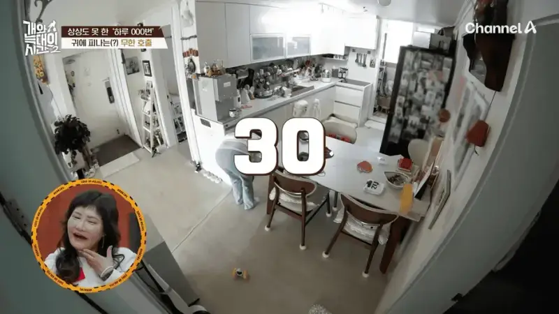 [#개와늑대의시간2] _저 같아도 물 것 같._ 하루에 개를 462번 부르는 보호자!_😨🚨 (귀에 딱지 앉을 듯.)🤕🐕 _ 개와 늑대의 시간2 17회 15-56