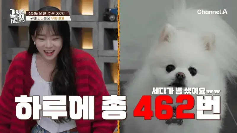 [#개와늑대의시간2] _저 같아도 물 것 같._ 하루에 개를 462번 부르는 보호자!_😨🚨 (귀에 딱지 앉을 듯.)🤕🐕 _ 개와 늑대의 시간2 17회 17-16