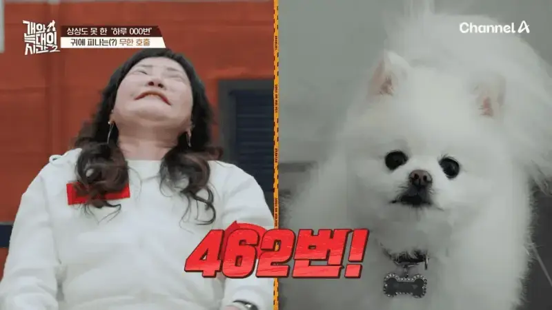 [#개와늑대의시간2] _저 같아도 물 것 같._ 하루에 개를 462번 부르는 보호자!_😨🚨 (귀에 딱지 앉을 듯.)🤕🐕 _ 개와 늑대의 시간2 17회 17-19