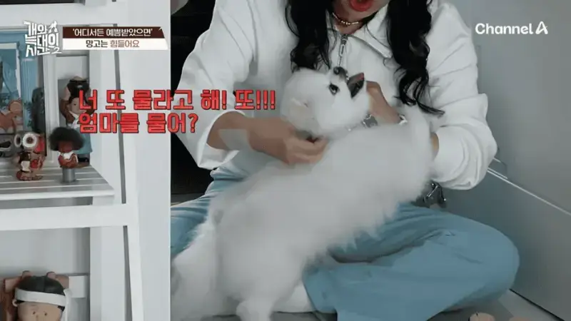 [#개와늑대의시간2] _저 같아도 물 것 같._ 하루에 개를 462번 부르는 보호자!_😨🚨 (귀에 딱지 앉을 듯.)🤕🐕 _ 개와 늑대의 시간2 17회 3-2