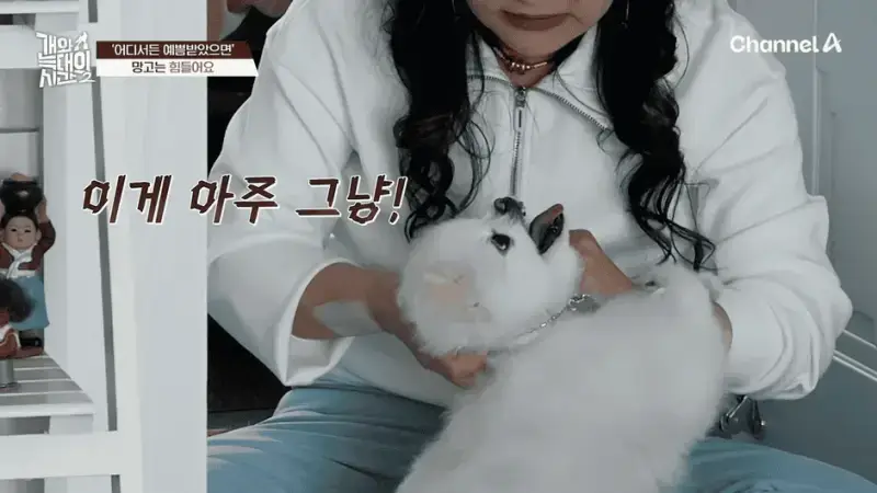 [#개와늑대의시간2] _저 같아도 물 것 같._ 하루에 개를 462번 부르는 보호자!_😨🚨 (귀에 딱지 앉을 듯.)🤕🐕 _ 개와 늑대의 시간2 17회 3-5