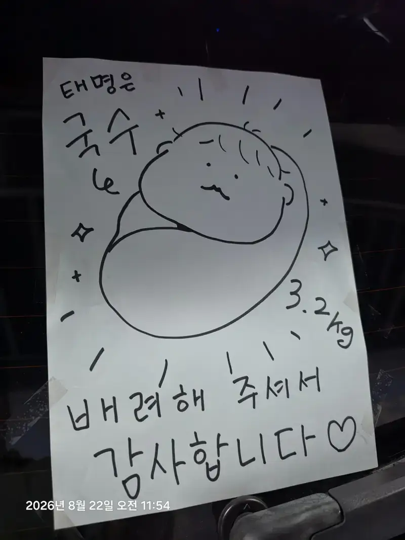병원갔다가 집가는 신생아차 봄의 내용을 보여주는 이미지