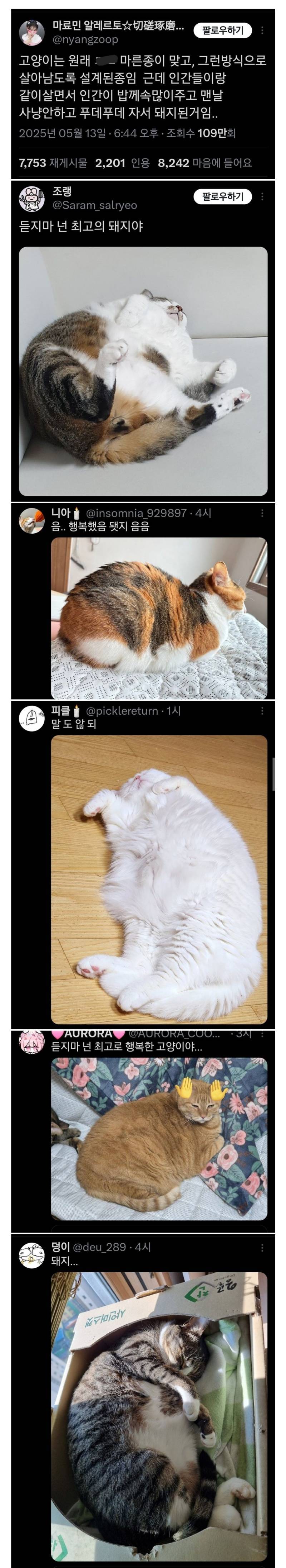 4ff0h4QTrGok2GK6IEYEyq.jpg